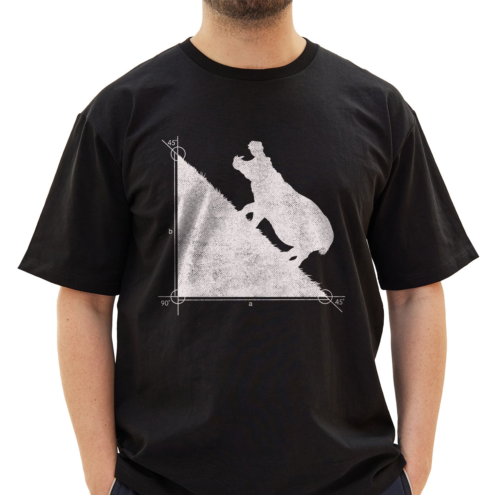 Hypopotenuse T-Shirt