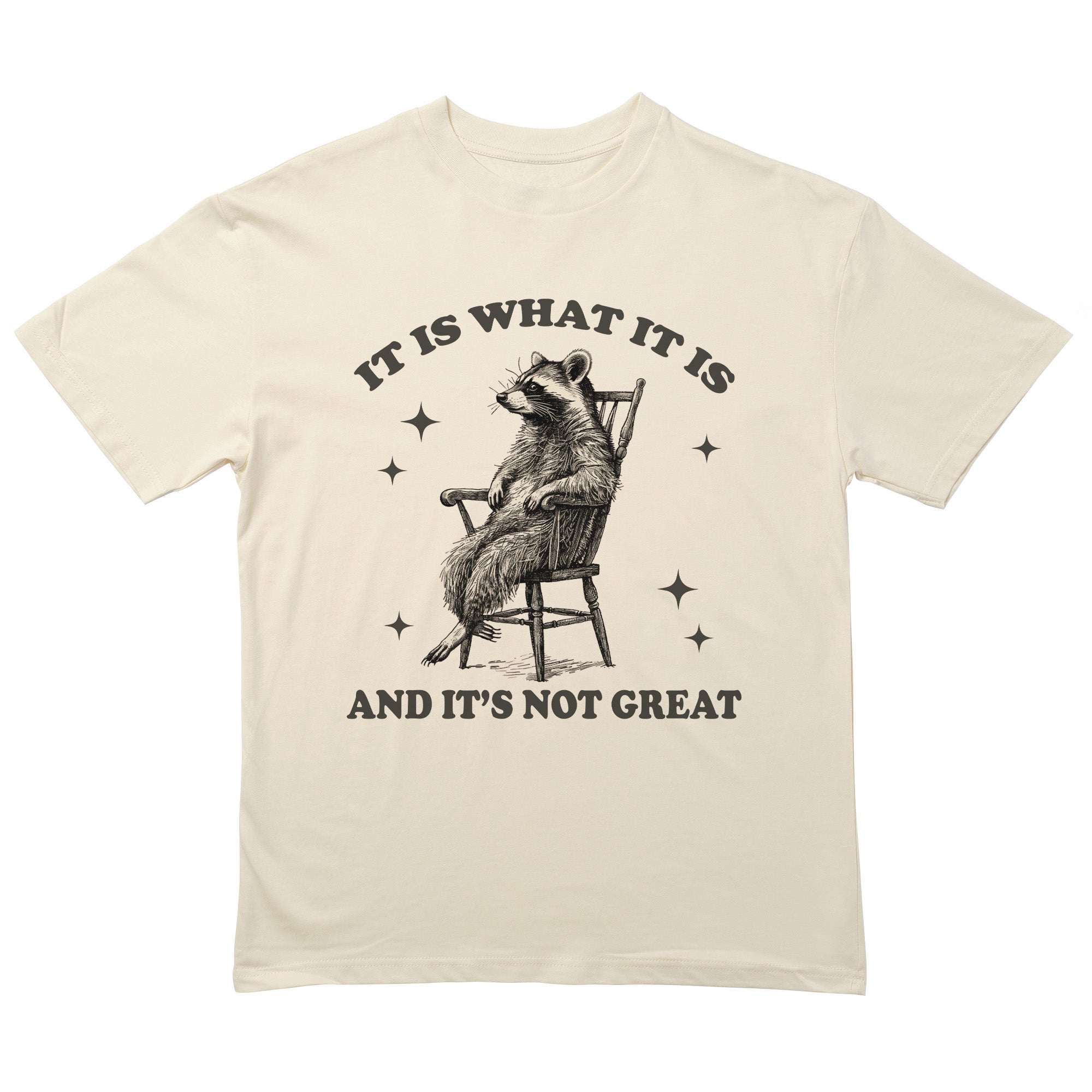 It Is What It Is And It's Not Great T-Shirt