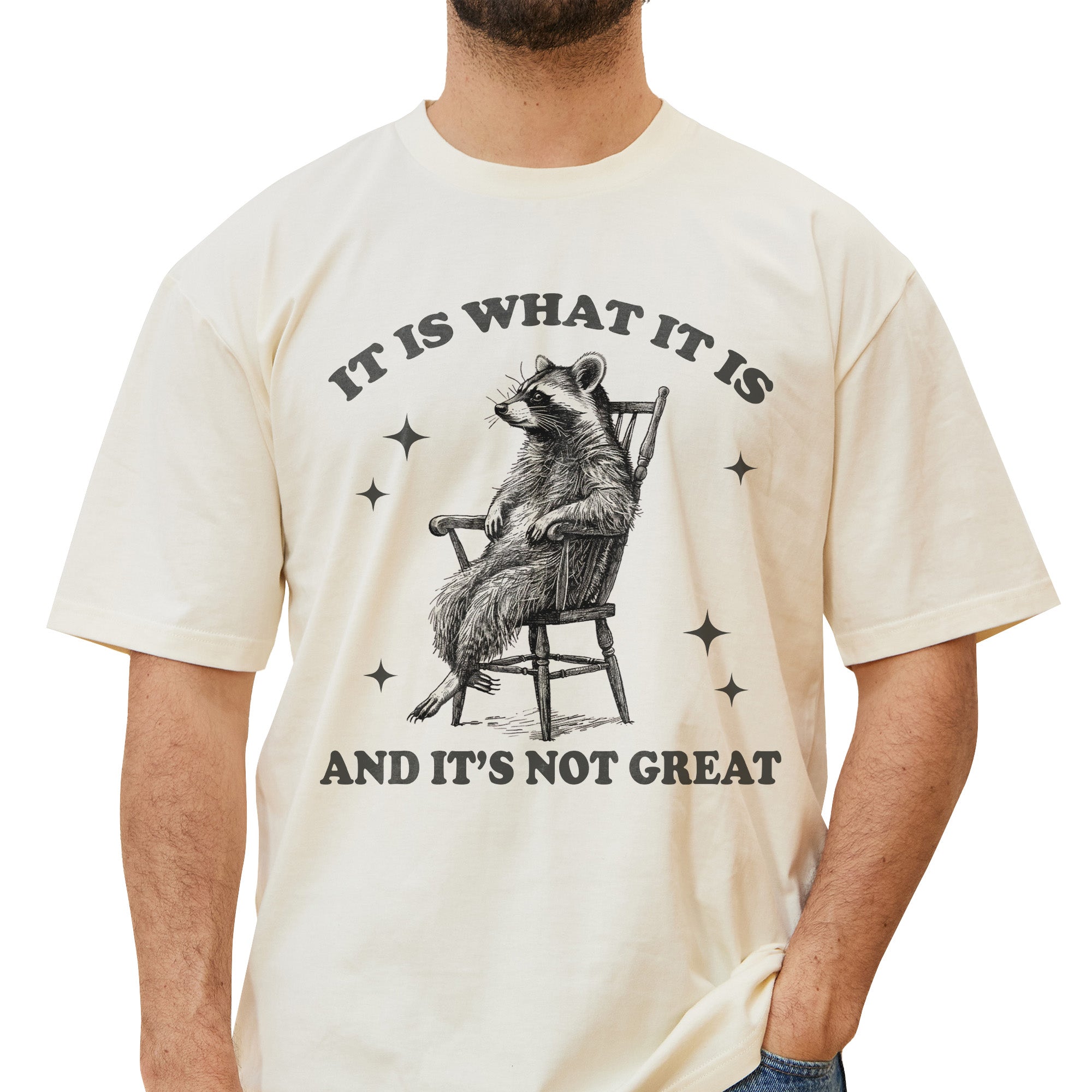It Is What It Is And It's Not Great T-Shirt