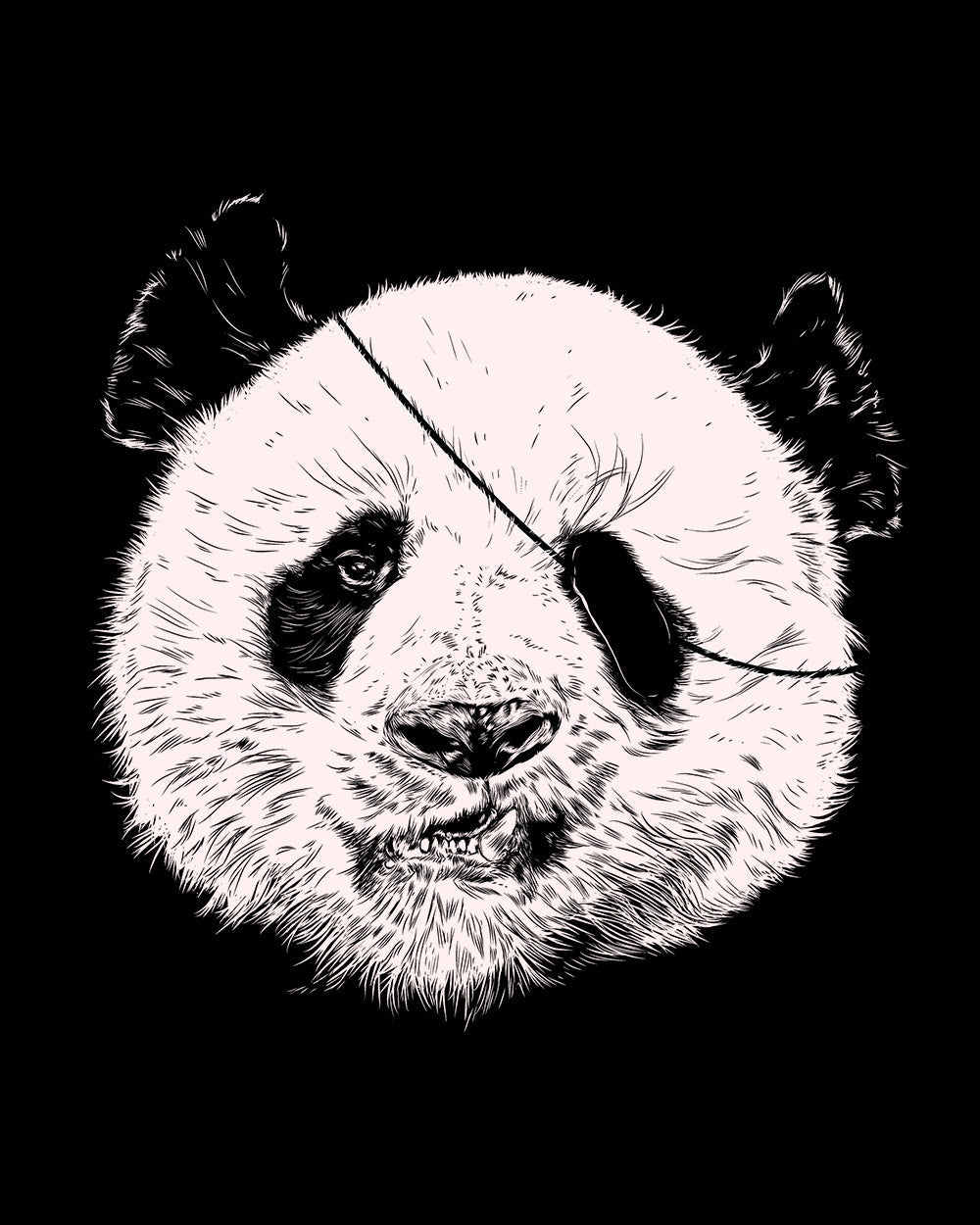 Endangered Pirate T-Shirt Australia Online #colour_black