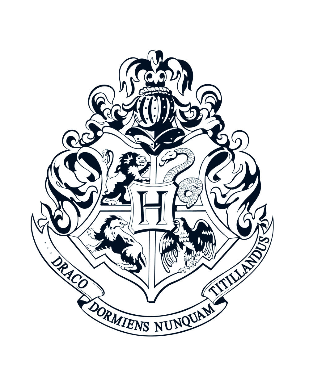 Harry Potter Hogwarts College Witchcraft Wizardry School Officially Licensed Cotton T-Shirt