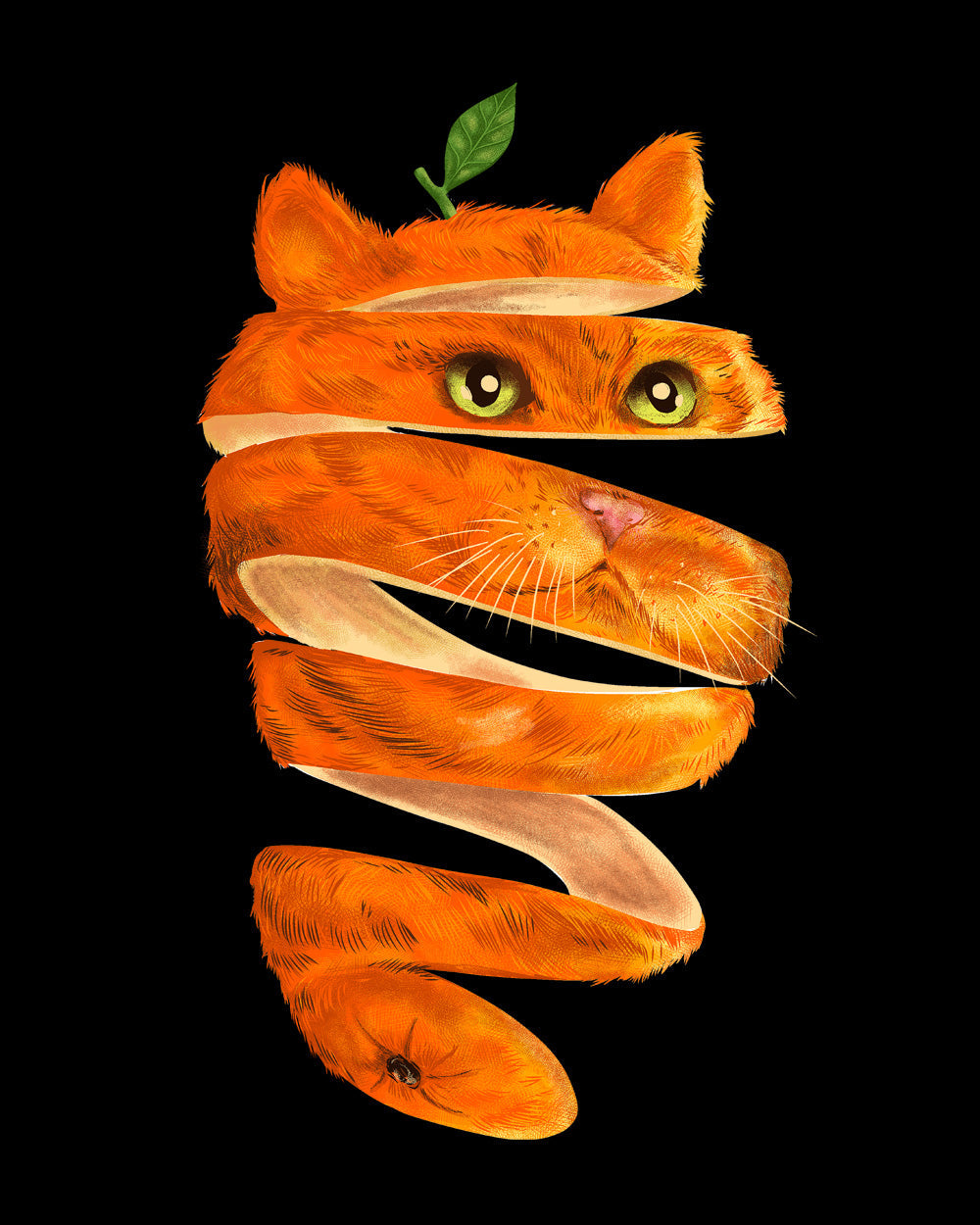 Orange Cat Funny Fruit Cat Kitten Arsty Cool Design Cotton T-Shirt