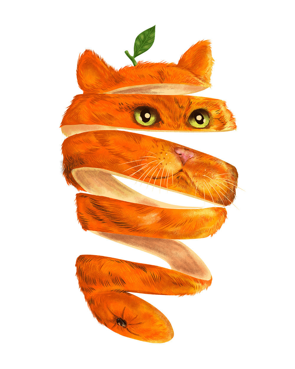 Orange Cat Funny Fruit Cat Kitten Arsty Cool Design Cotton T-Shirt