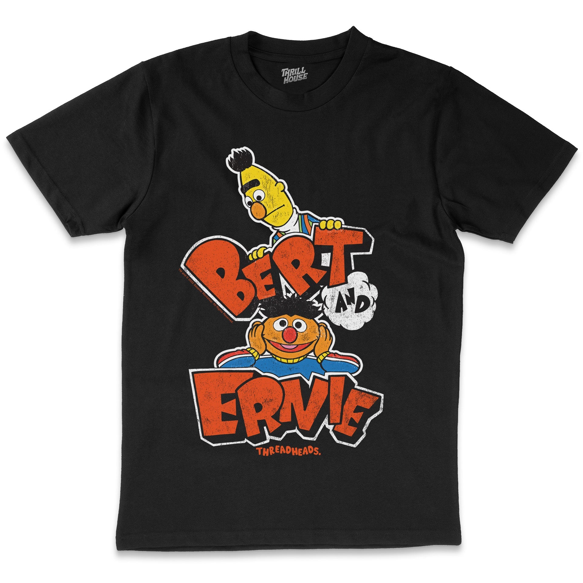 Sesame Street Retro Bert And Ernie Classic Vintage Educational Puppet TV Program Officially Licensed T-Shirt
