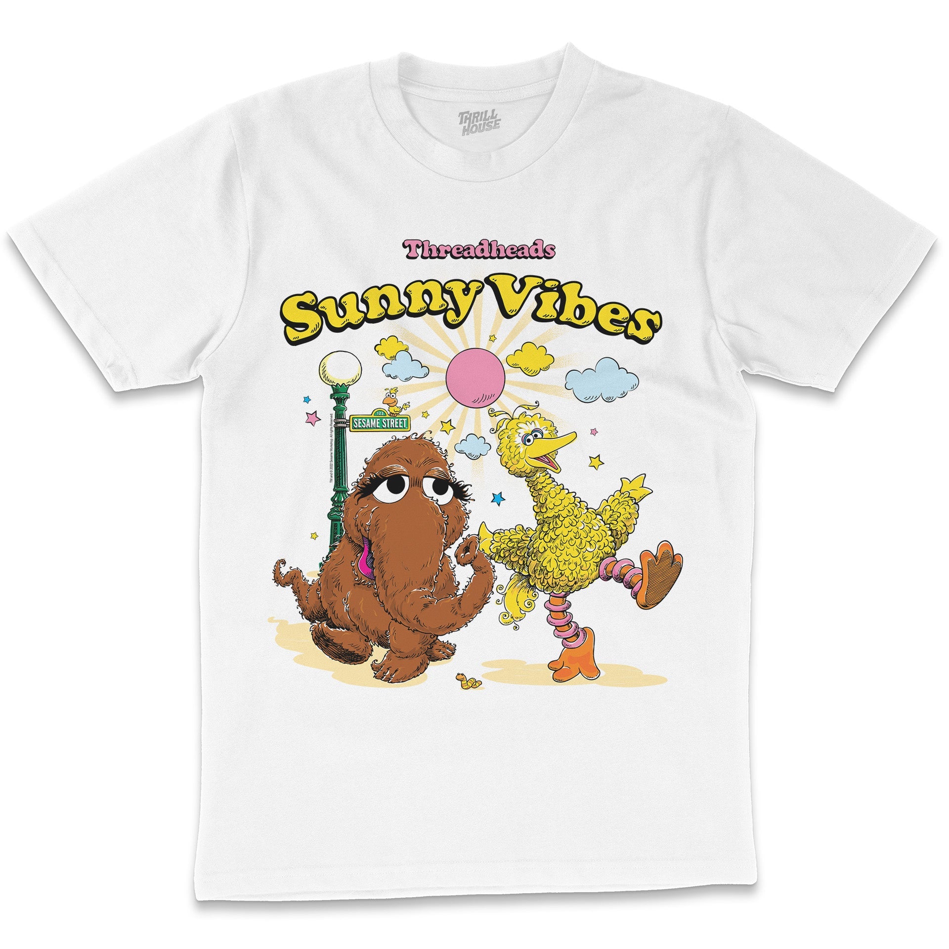 Sesame Street Sunny Vibes Classic Retro Vintage Educational Puppet TV Program Officially Licensed T-Shirt