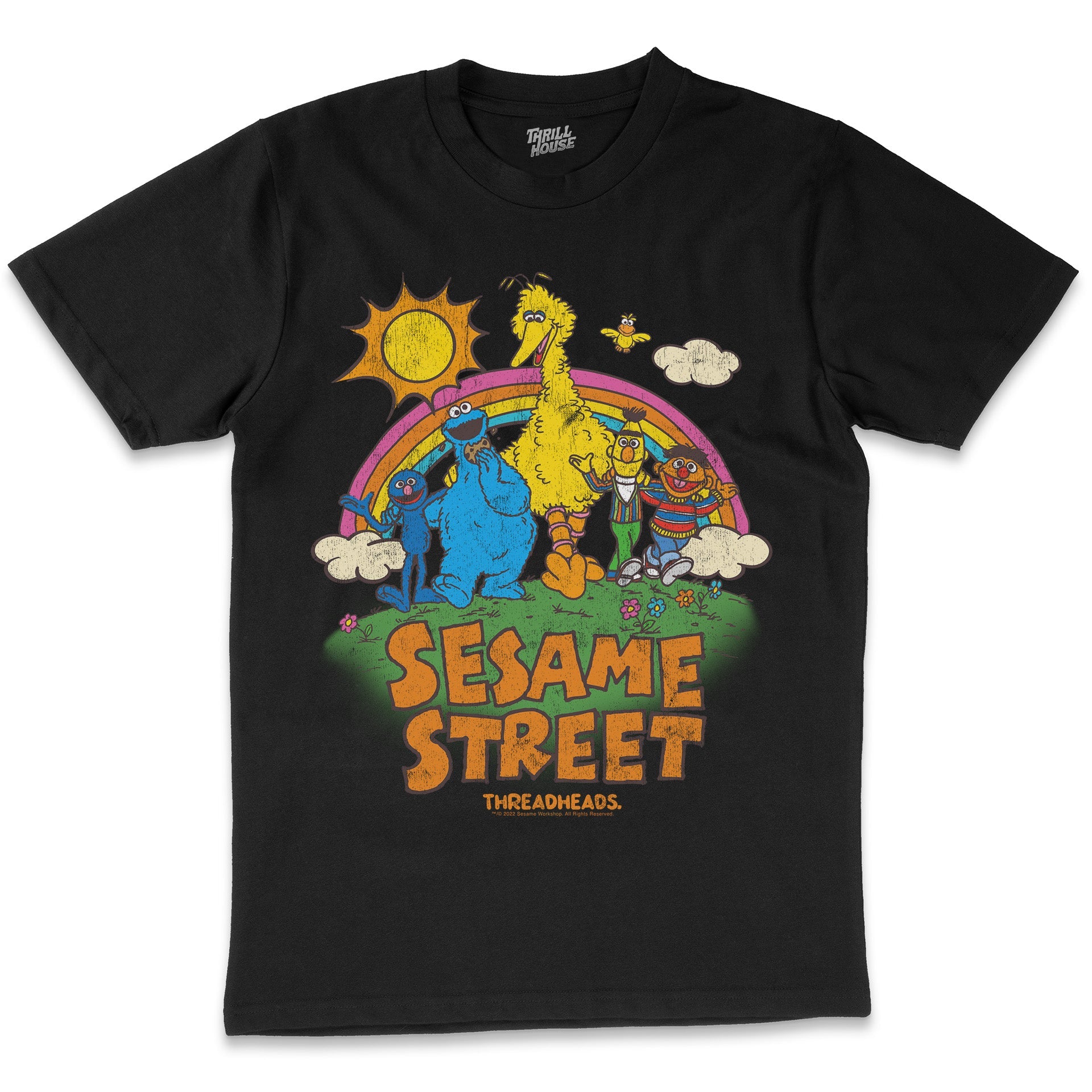 Sesame Street Sunny Days Classic Retro Vintage Educational Puppet TV Program Officially Licensed T-Shirt