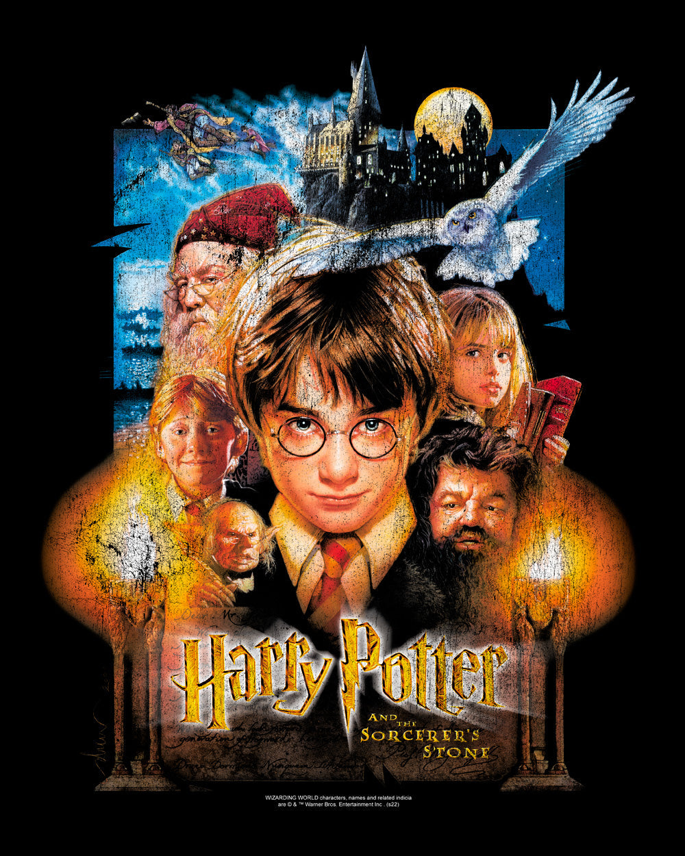 Harry Potter The Philosopher's Stone Poster Hogwarts Witchcraft Wizardry School Officially Licensed Cotton T-Shirt