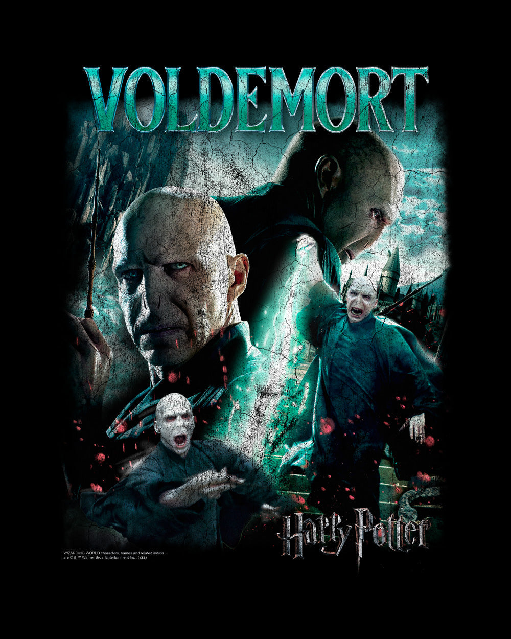 Harry Potter Voldemort Vintage Hogwarts Witchcraft Wizardry School Officially Licensed Cotton T-Shirt