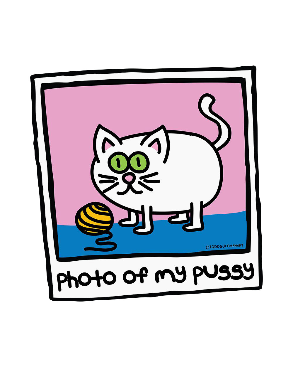 Photo of My Pussy Funny Rude Bad Pun Dad Joke Crude Humour Cat Kitten Cotton T-Shirt