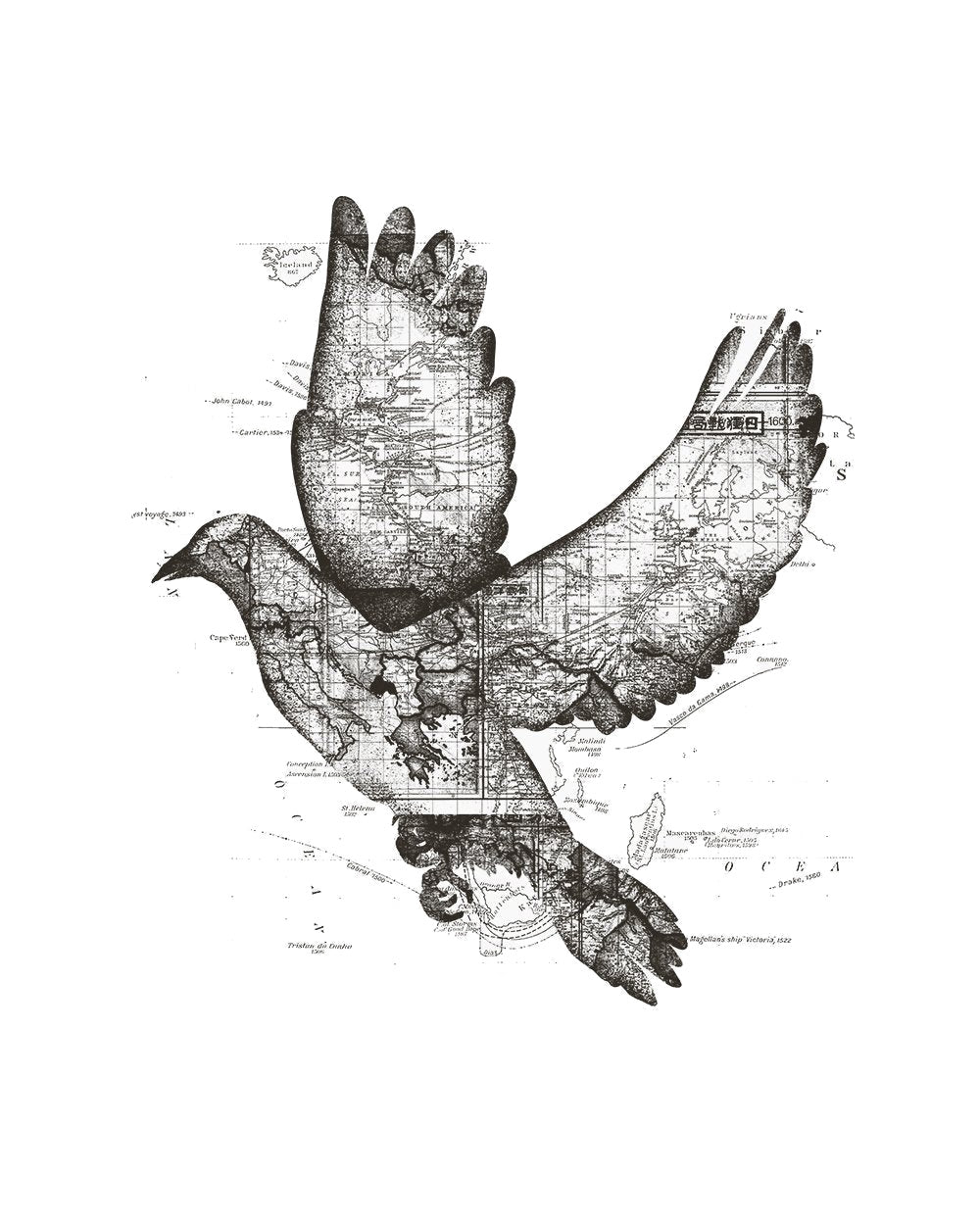 Artsy Wanderlust Bird Adventure Nature Camping Bird Watching Flight Outdoors Cotton T-Shirt