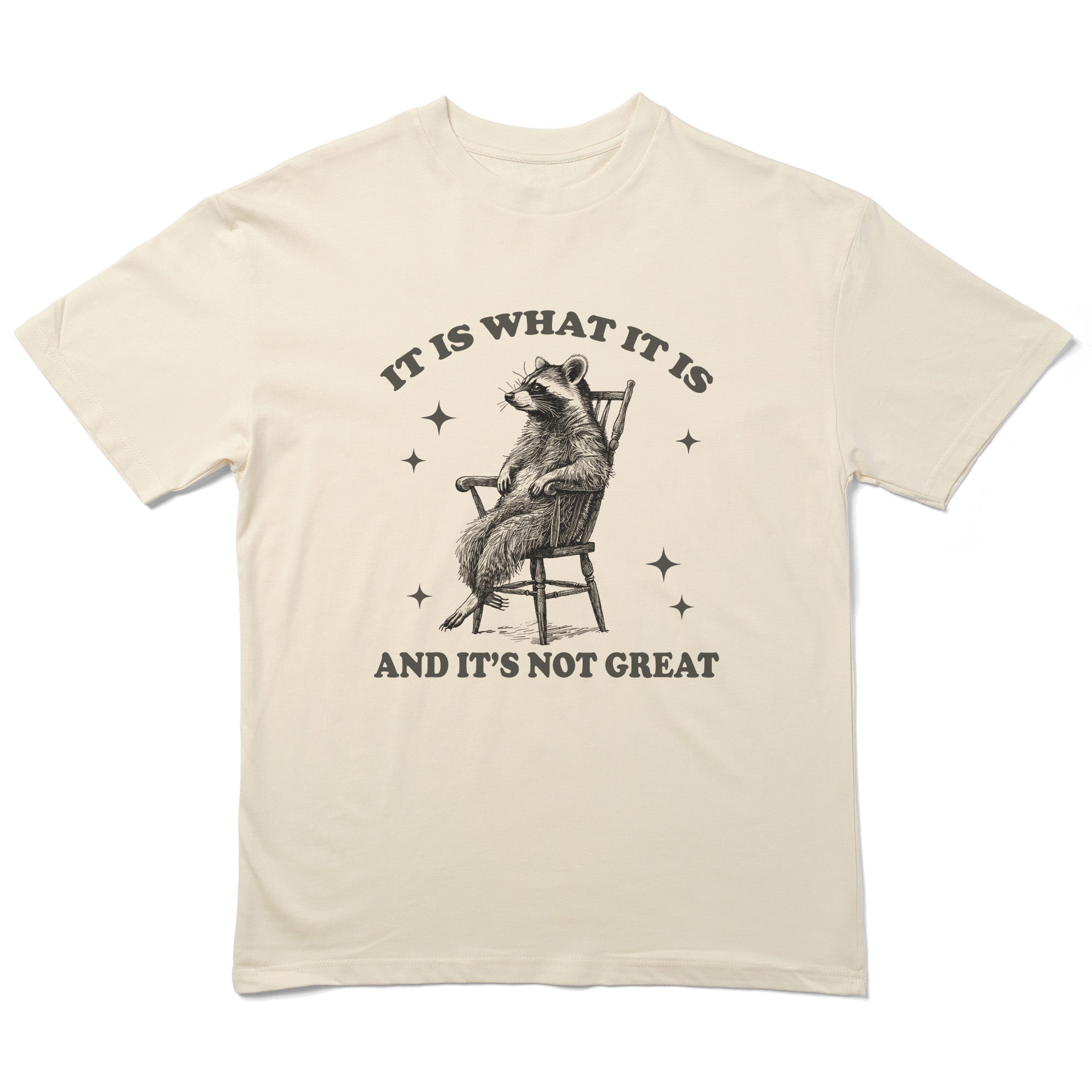 It Is What It Is And It's Not Great T-Shirt