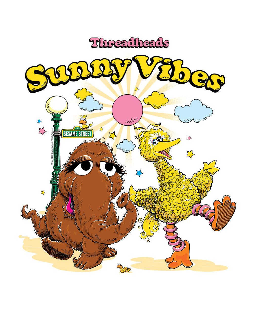 Sesame Street Sunny Vibes Classic Retro Vintage Educational Puppet TV Program Officially Licensed T-Shirt