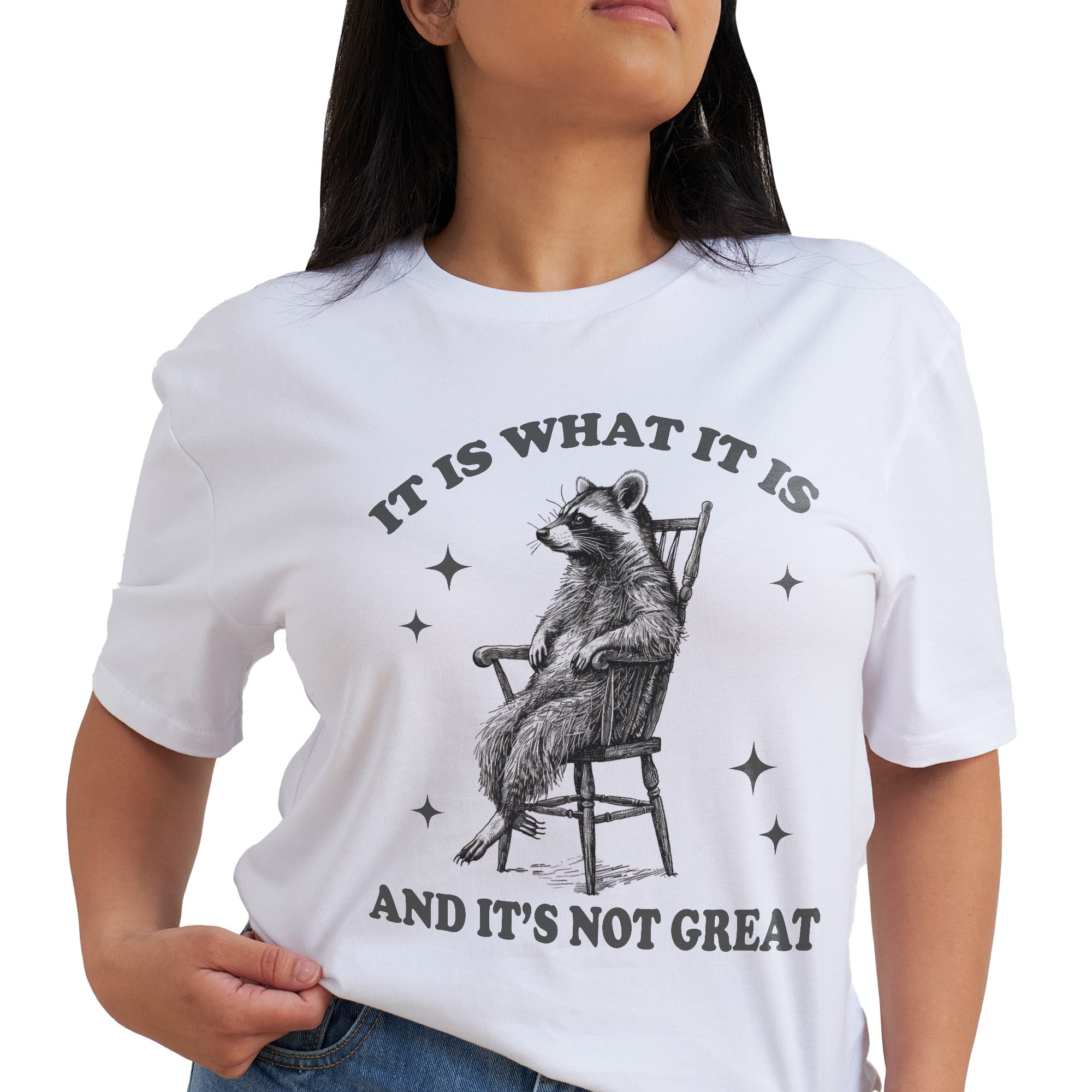 It Is What It Is And It's Not Great T-Shirt