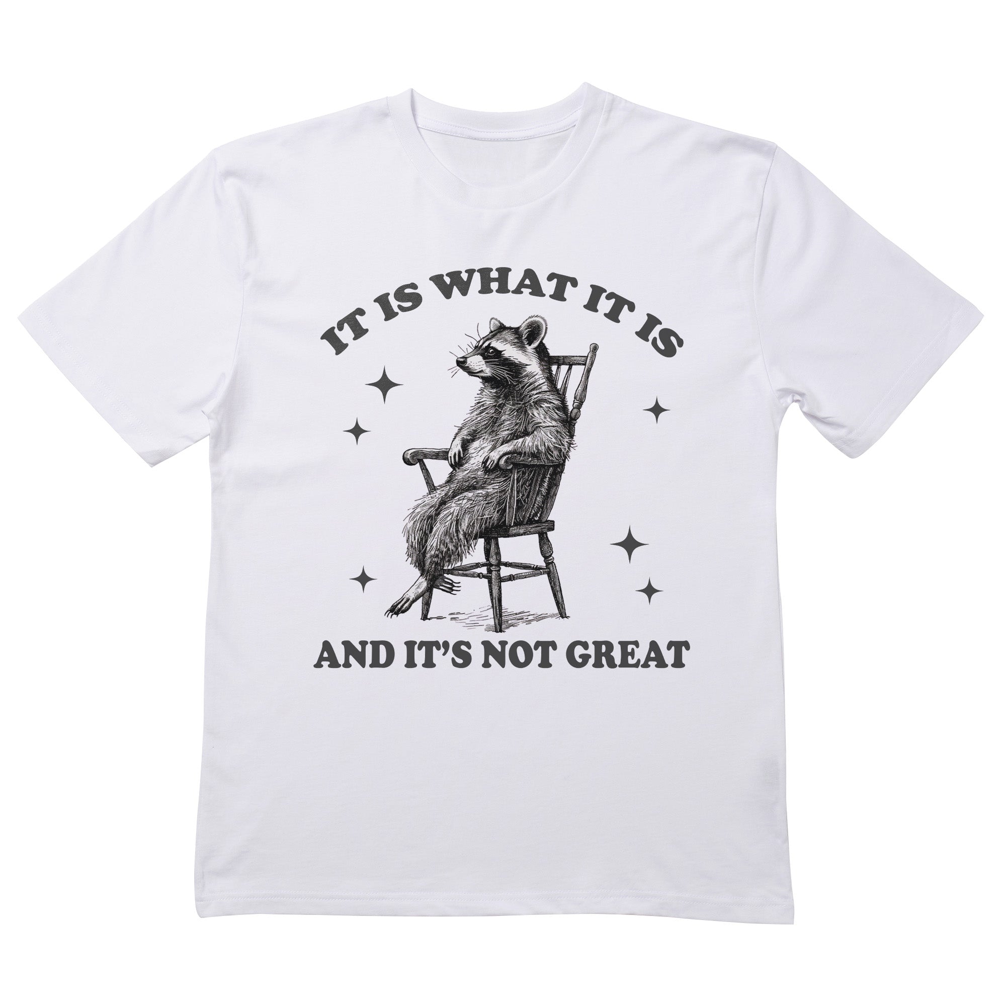 It Is What It Is And It's Not Great T-Shirt