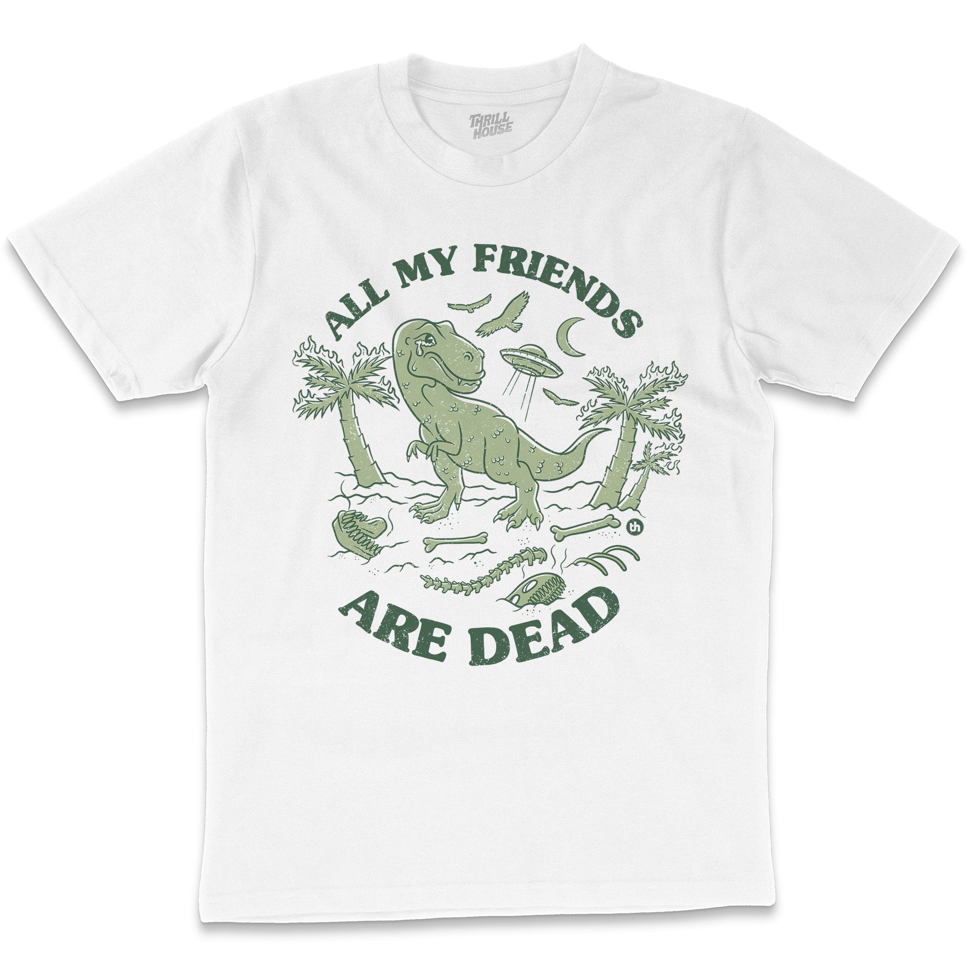 All My Friends are Dead Cool Dinosaur Jurassic Era Prehistoric Comet Earth Funny Slogan Cotton T-Shirt
