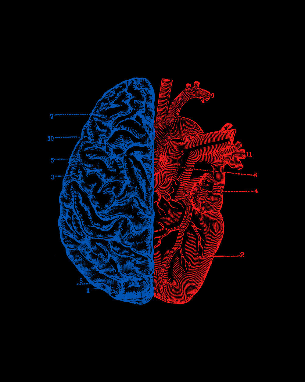Heart and Brain T-Shirt Australia Online #colour_