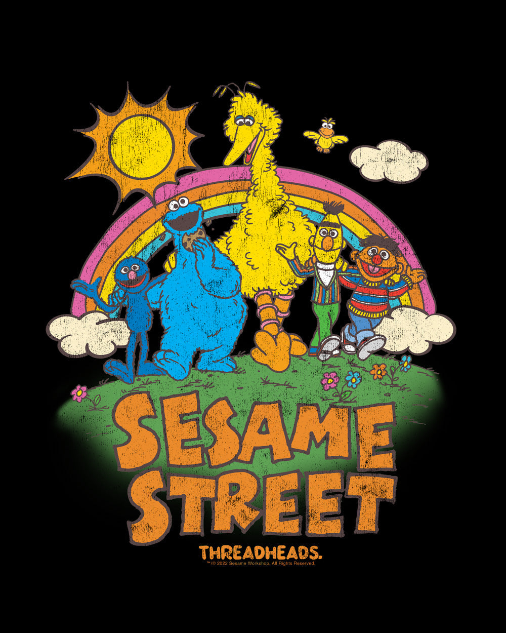 Sesame Street Sunny Days Classic Retro Vintage Educational Puppet TV Program Officially Licensed T-Shirt