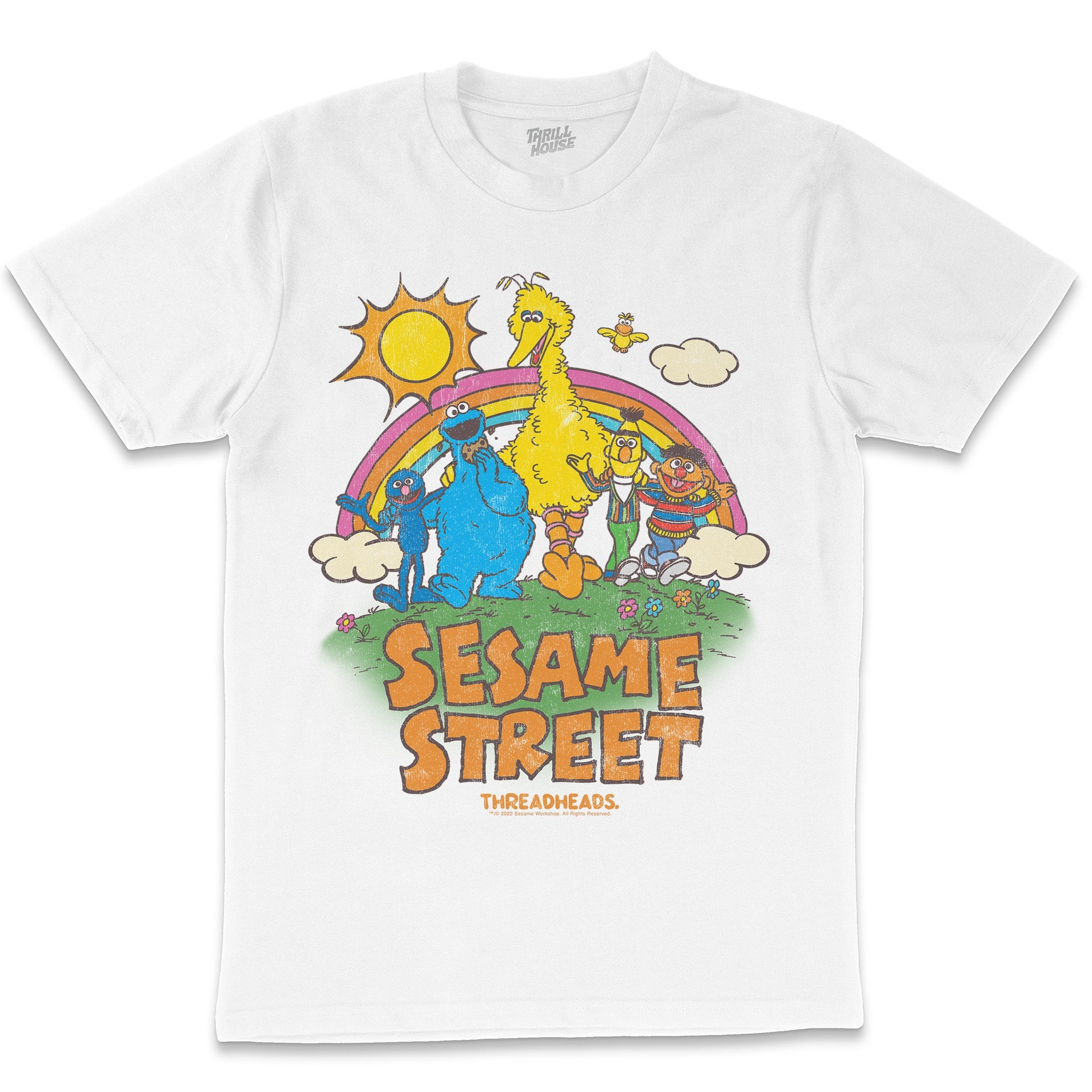 Sesame Street Sunny Days Classic Retro Vintage Educational Puppet TV Program Officially Licensed T-Shirt